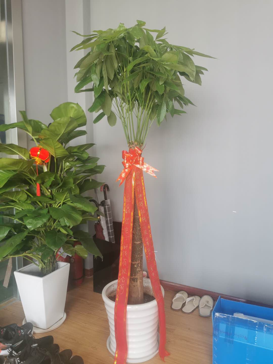 恭贺昆山利哲祥机械材料有限公司乔迁新址